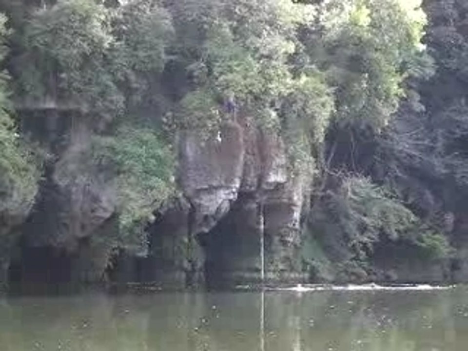 Petit saut