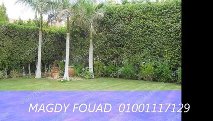 Duplex Apartment For Rent In Katameya Heights,