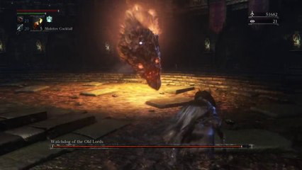 Watchdog of The Old Lords fight.