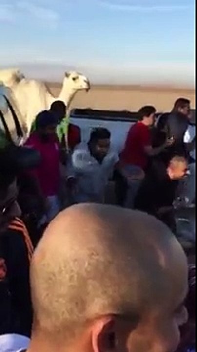 جمال تجمعت على كويتيين كاشتين ههههههههههههههههه