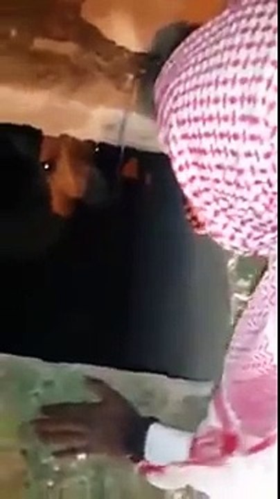 سعودي طاحت ناقته بالخزان ههههههههههههههههههه