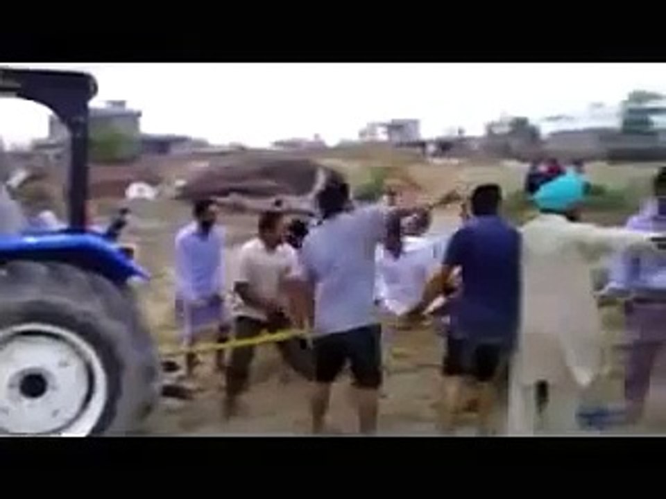 شوف التحدي كيف ___