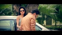 punjabiyan da nawa tashan video