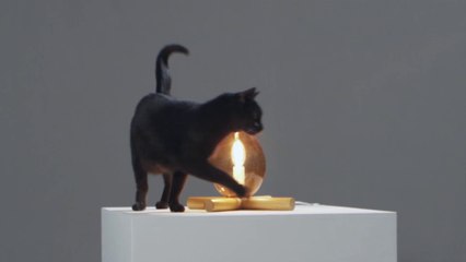 [Teaser] Oracles du design, un regard sur la collection du Centre national des arts plastiques