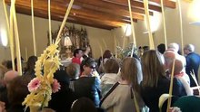 2015 Domingo de Ramos, Palmzondag, Palm Sunday Hondon de las Nieves