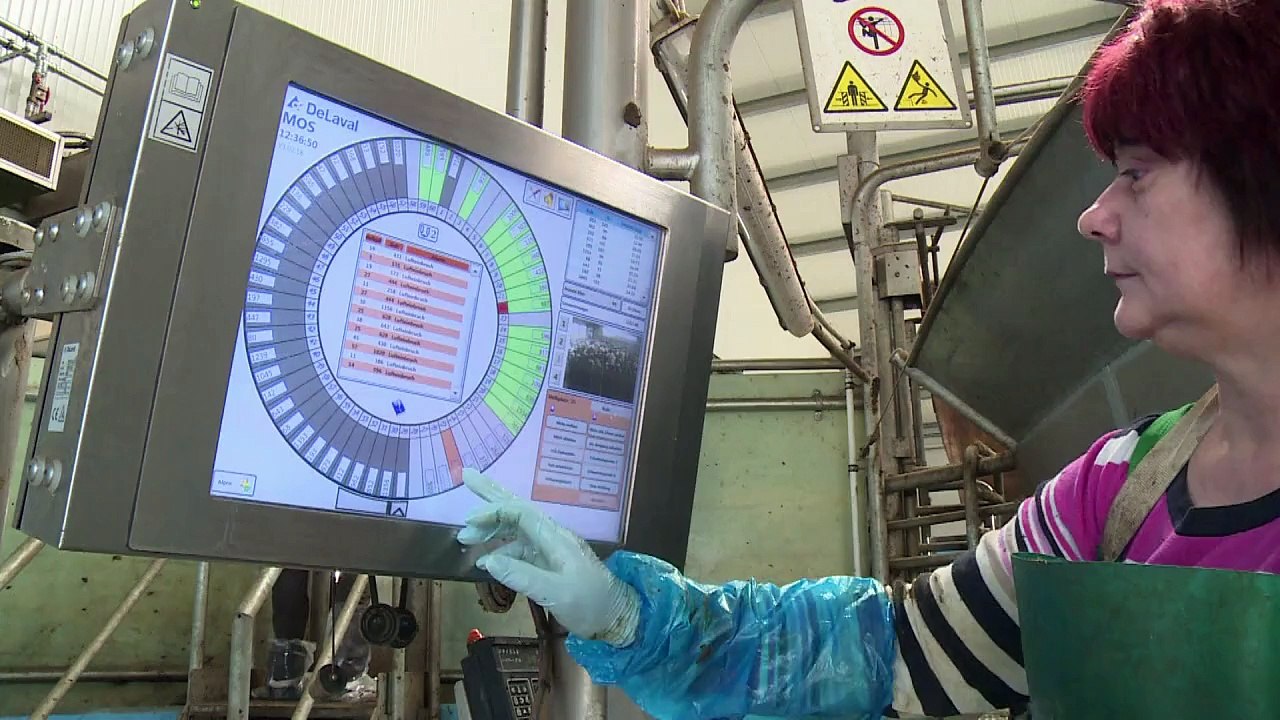 Ende der milchquote - chance und herausforderung