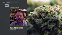 Faut-il légaliser le cannabis ? (Vox Pop) (Arte)