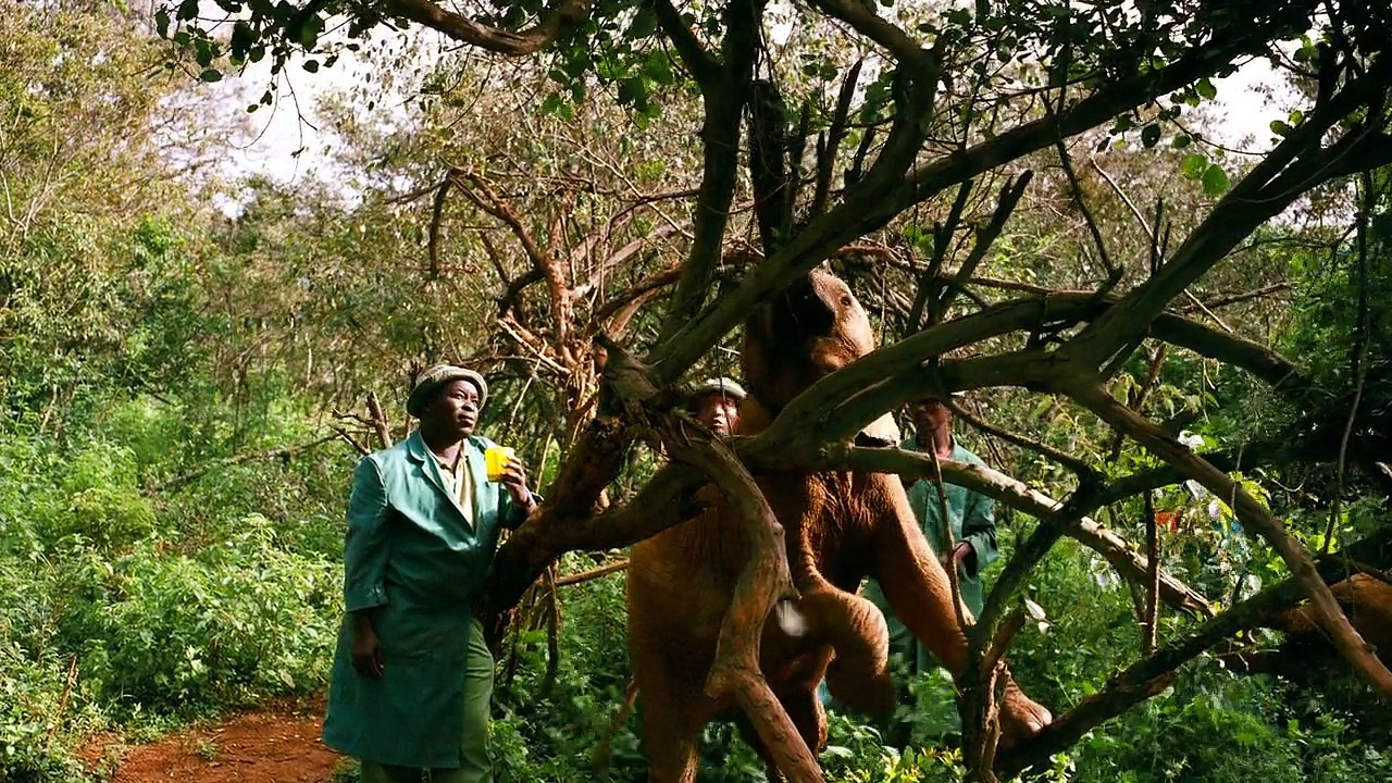 Born to be Wild 2013