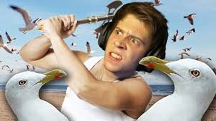 LA VENGANZA DE LAS GAVIOTAS | The Forest