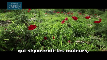 Des lunettes qui vont bouleverser la vie des daltoniens