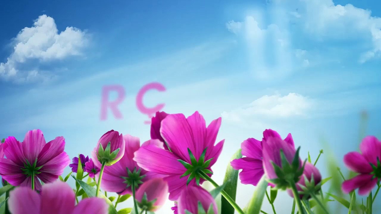 Gözəl Mövzular-Boş yerə çalışıb yorulanlar