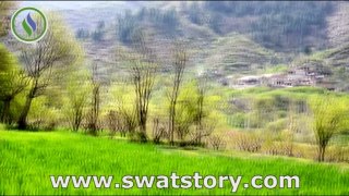 Swat Story Special Shingrai