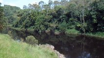 Natureza Indômita, Rio Paraibuna, Mergulhos Sub-aquáticos, Onças, Aranhas, Peixes, Serra do Mar, (12)