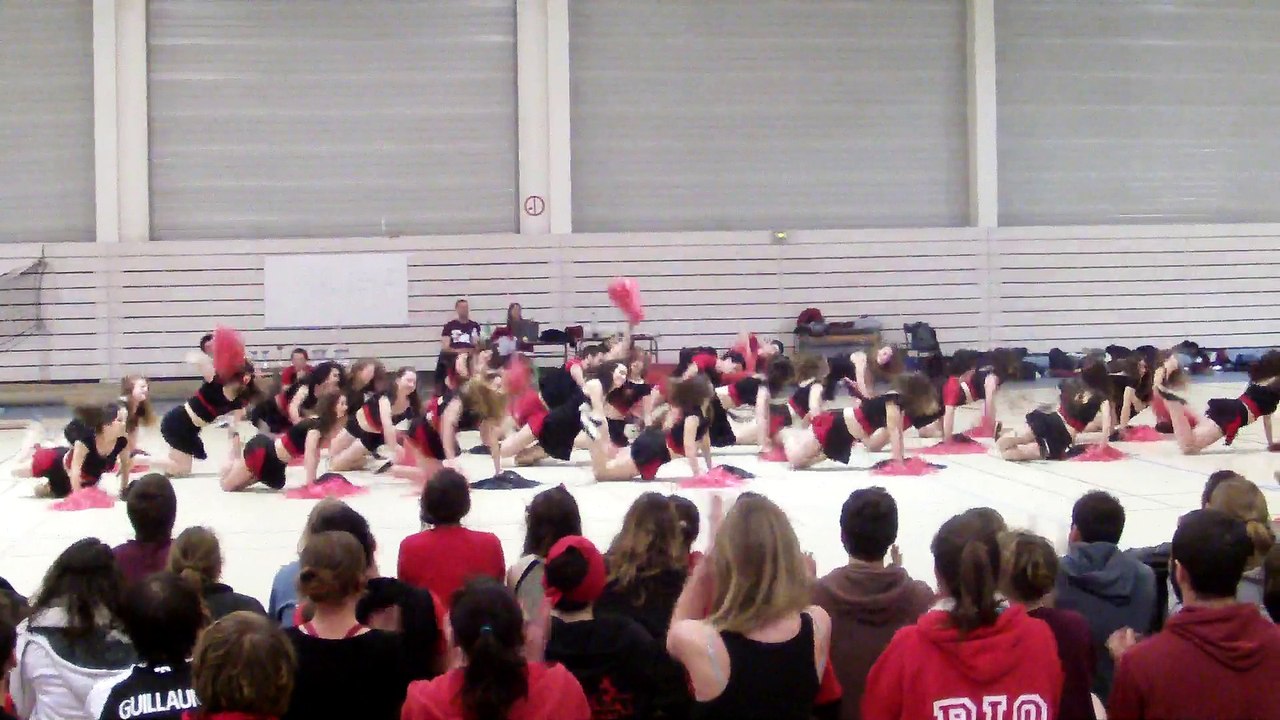 Pompoms ENSAT Occits 2015