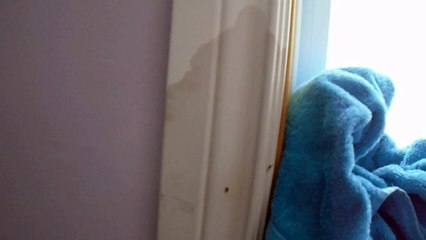 Fenêtres installées par B. Reno's