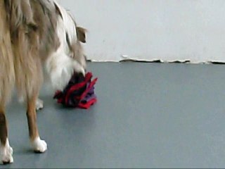 Maori - 1 an, 6 mois - jeux d'occupation