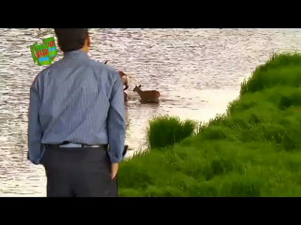 Hamza Arts Chroma Video-4