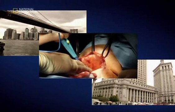 Czysta Nauka Rzymskie Technologie Dokument