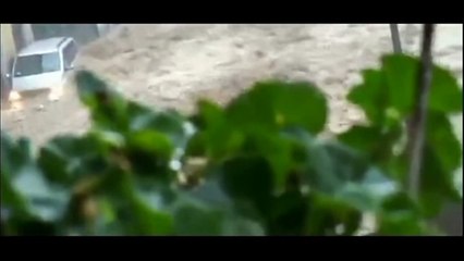 Genova - Alluvione 37