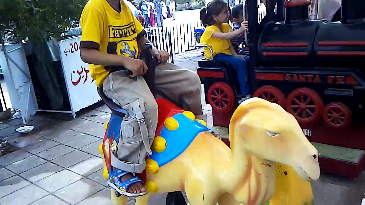 Abdul Sami on camel
