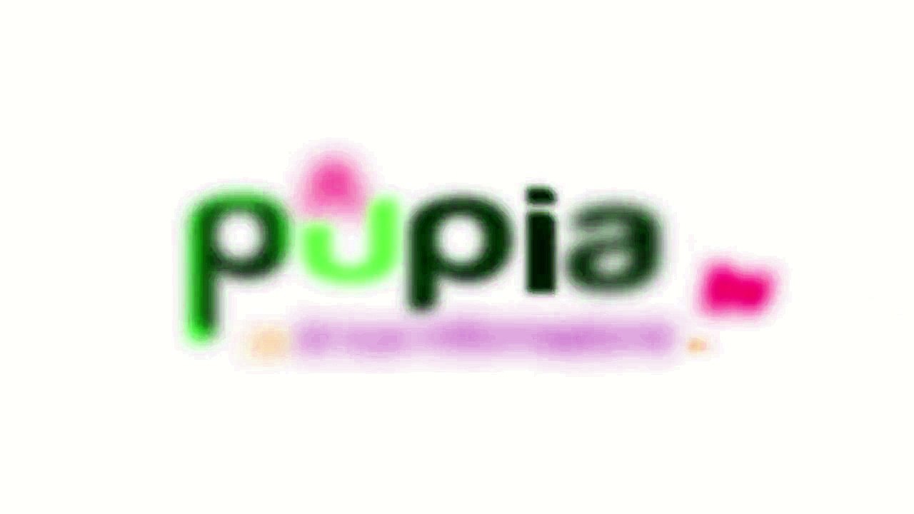 Giappone - Lo Tsunami 39
