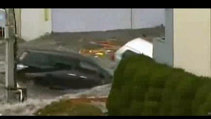 Giappone - Lo Tsunami 29