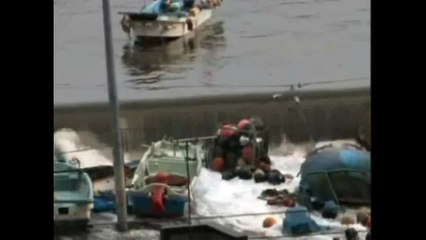 Giappone - Lo Tsunami 11