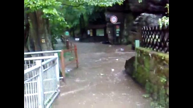 Repubblica Ceca - Alluvioni e inondazioni a Hřensko