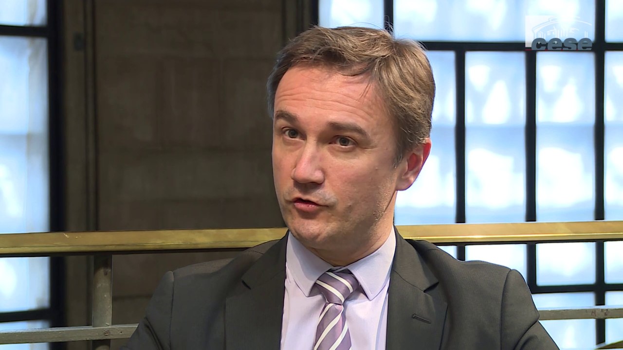 Interview de Pierre MICHEL (fédération française des sociétés d’assurances) - cese