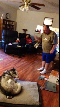 Dialogue de sourds entre un chien et un homme