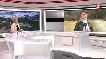 Crash A320: Une route en construction pour faciliter les recherches