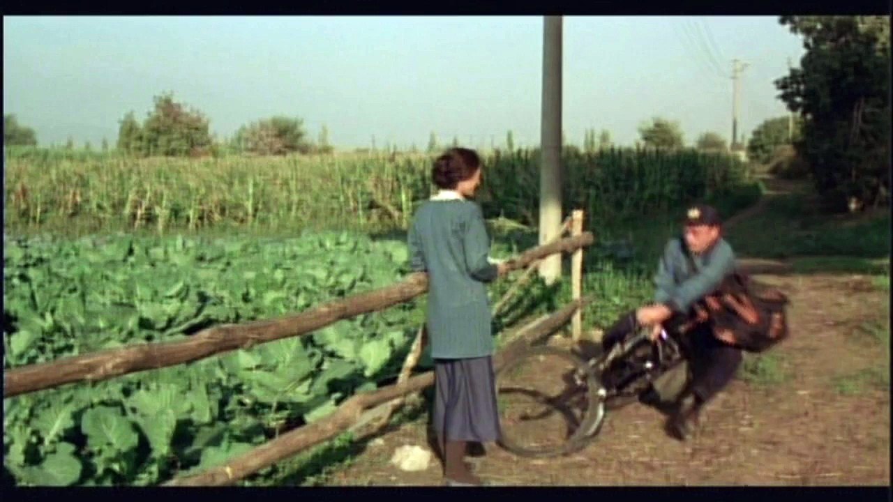 MILK - Bande-annonce