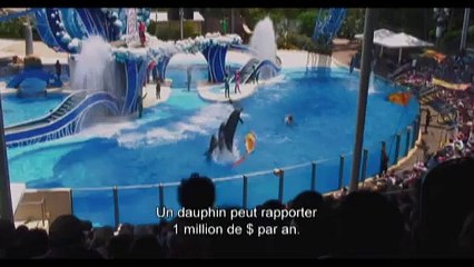 THE COVE - LA BAIE DE LA HONTE - Bande-annonce