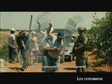 LES CITRONNIERS - Bande-annonce