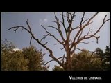 VOLEURS DE CHEVAUX - Bande-annonce