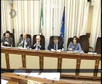 Roma - Statuti Regioni ad autonomia speciale, audizione esperti (17.03.15)