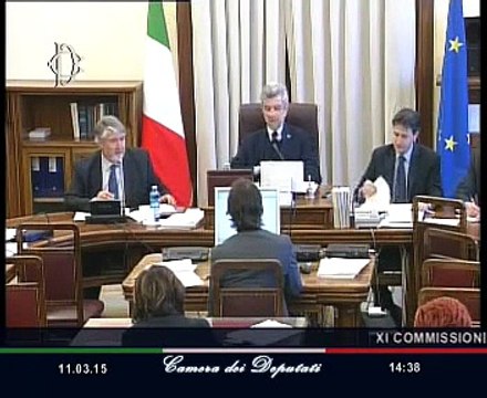 Roma - Mercato del lavoro, audizione Ministro Poletti (11.03.15)