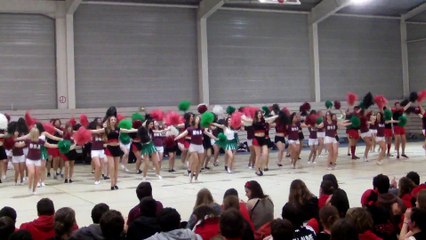 Show commun - Pompoms Occit' 2015