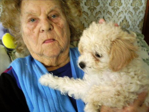 Sittin' On A Log (Pettin' My Dog)-Sam Robbins Hotel McAlpin Orch