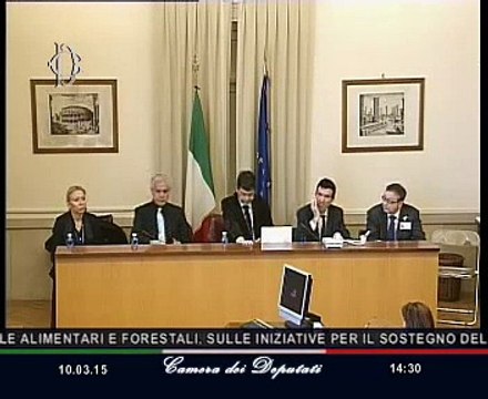 Roma - Settore lattiero-caseario, audizione Ministro Martina (10.03.15)