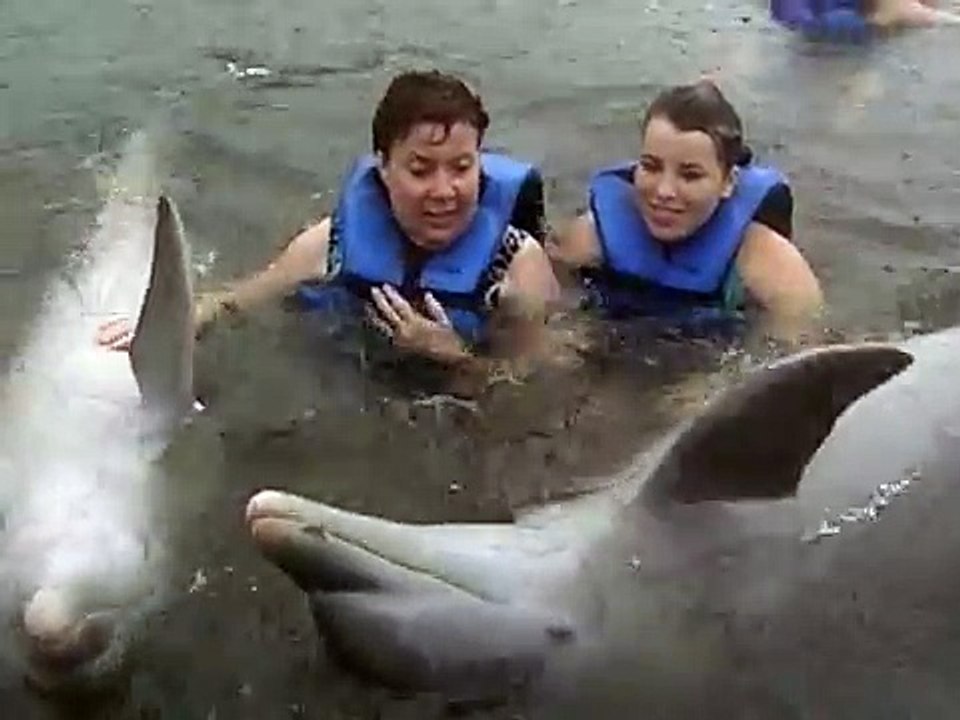 Varadero (Cuba) - Delfinario (25.08.12)