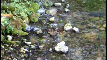 San Salvatore Telesino (BN) - Parco Naturalistico del Grassano 2011