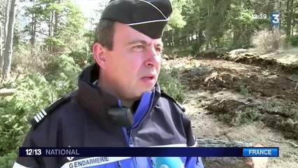 Crash de l'A320 : enfin un chemin d'accès pour les enquêteurs