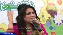 pashto new song (2013) Shama Ashna Zan Me Sha Che Zan De Sham - YouTube