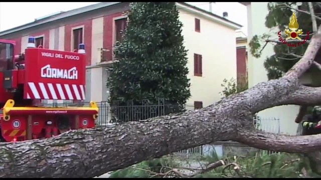 Pistoia - Maltempo, vento forte (06.03.15)