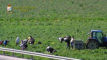Brindisi - False coop agricole, 8 arresti e sequestri per 3 milioni (30.03.15)