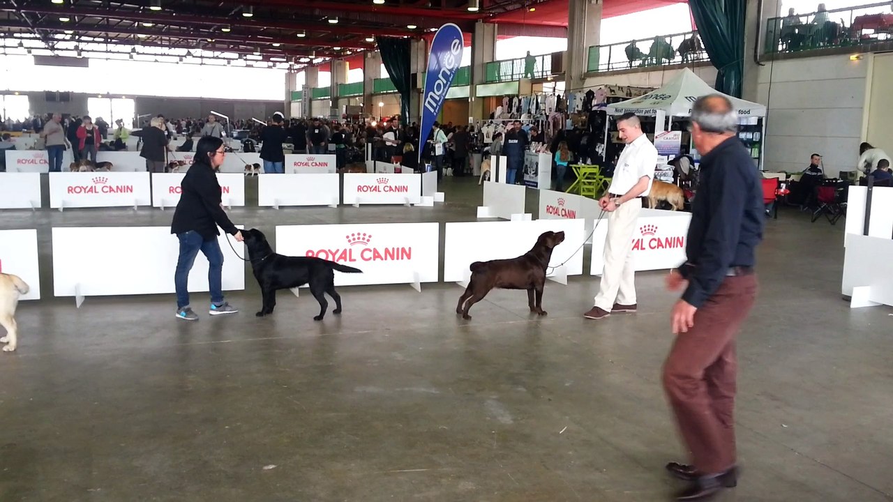 CACS mars 2015