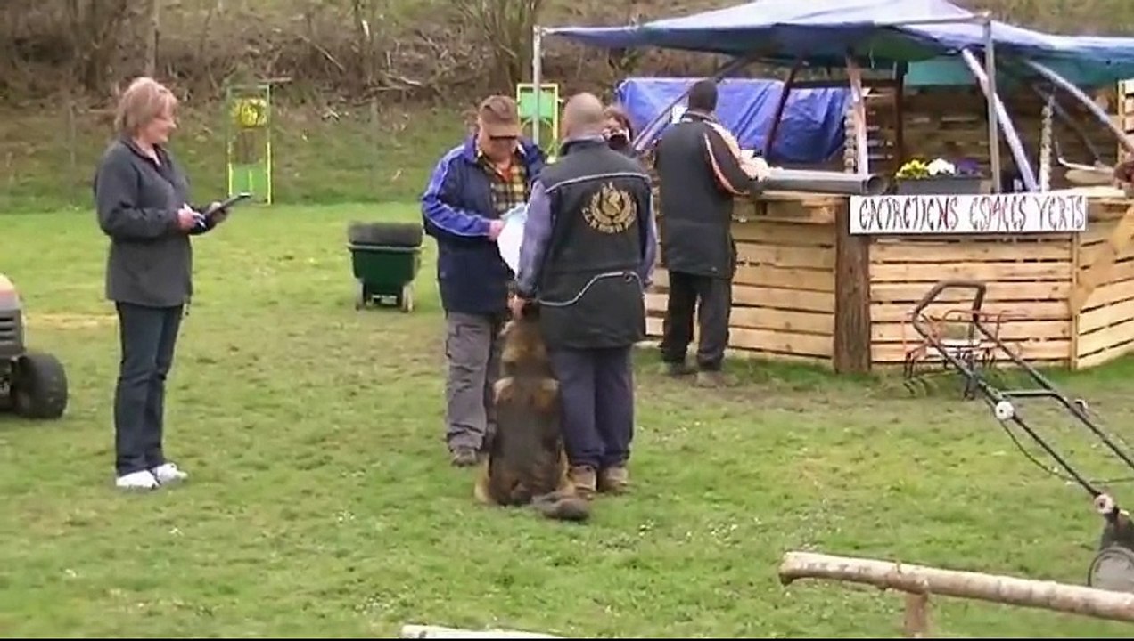 Ianouk, Brevet Mondioring Montrejeau 2015