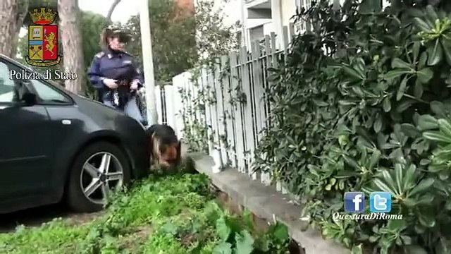 Ostia (Rm) - Due chili di cocaina sotterrati, arrestato 46enne (06.03.15)