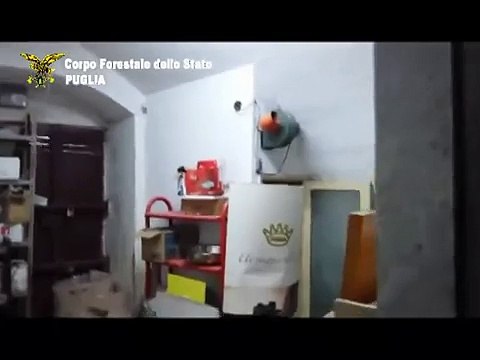 Terlizzi (Bari) - Sequestrati 7 quintali di salumi e formaggi in deposito fatiscente (05.03.15)